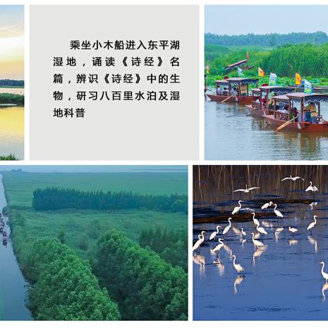 东平天气预报,水韵之城的天气密码与生活指南 东平天气预报,水韵之城的天气密码与生活指南