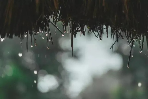 听雨问时,一场从清晨到午后三刻的独白 听雨问时,一场从清晨到午后三刻的独白
