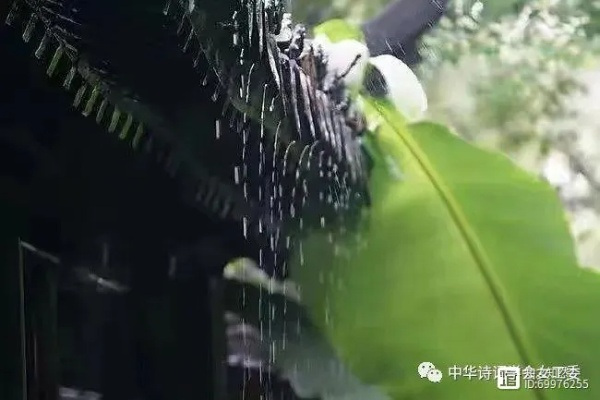 听雨问时,一场从清晨到午后三刻的独白 听雨问时,一场从清晨到午后三刻的独白